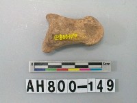 藏品(獸骨殘骸)的圖片